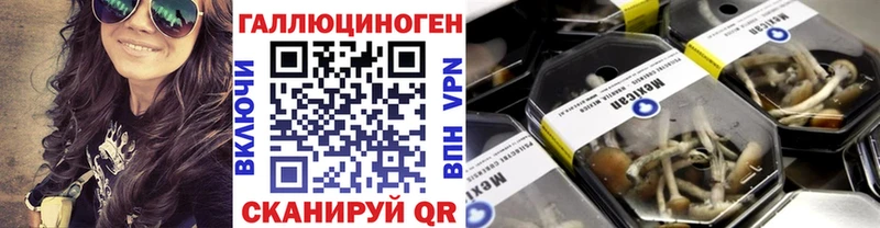 KRAKEN зеркало  Североморск  Псилоцибиновые грибы Cubensis 