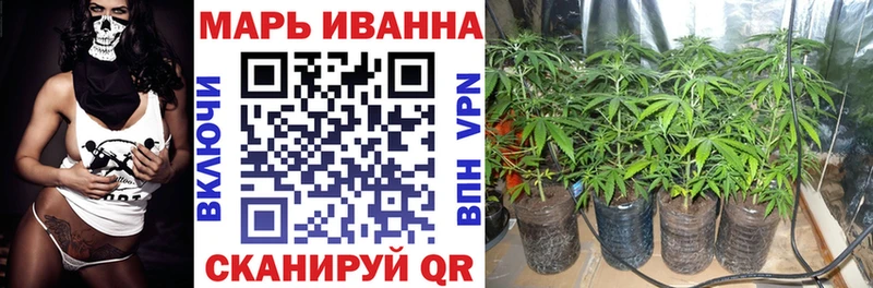 где купить наркоту  Североморск  блэк спрут как зайти  Каннабис MAZAR 